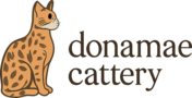 donamaecattery
